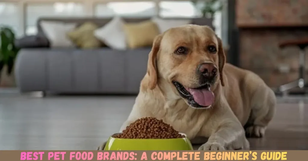 best pet food brands a complete beginner’s guide