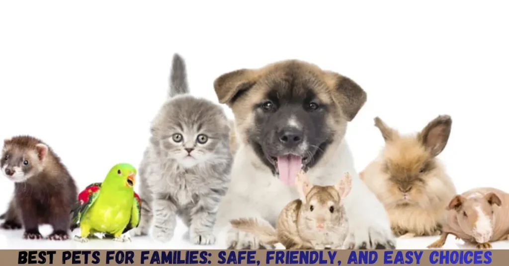 best pets for families safe, friendly, and easy choices