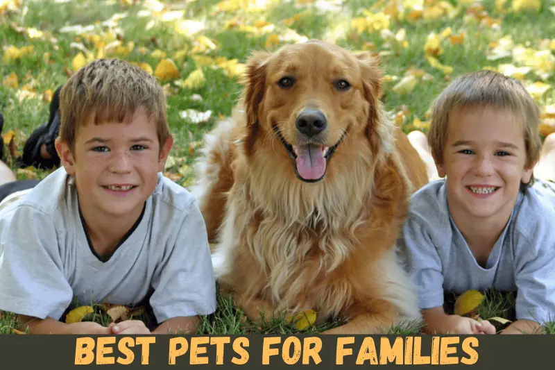 best pets for families