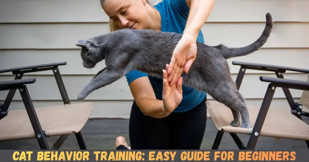 Cat Behavior Training: Easy Guide For Beginners cat behavior training easy guide for beginners