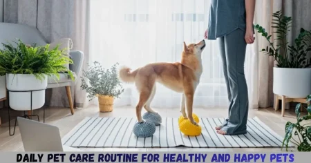daily pet care routine for healthy and happy pets