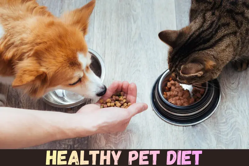 healthy pet diet