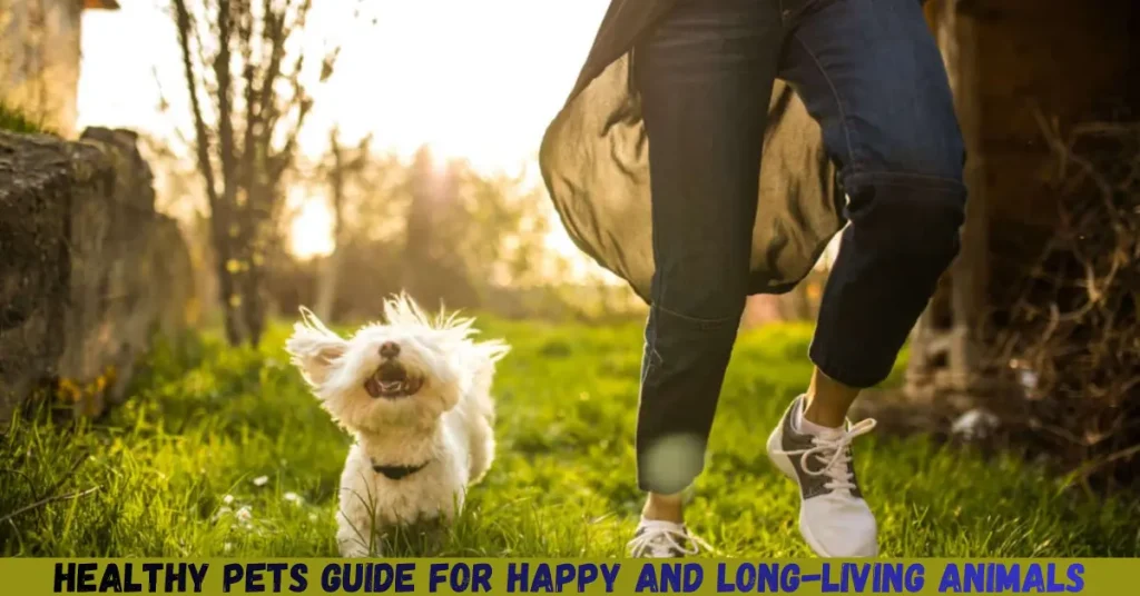 healthy pets guide for happy and long-living animals