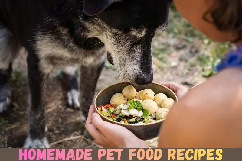 homemade pet food recipes