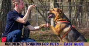 obedience training for pets – easy guide