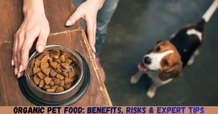 organic pet food benefits, risks & expert tips