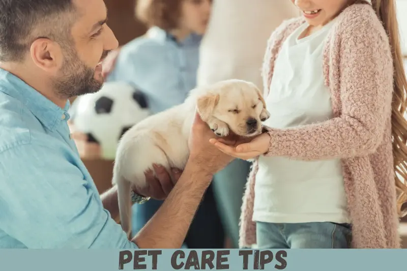 pet care tips