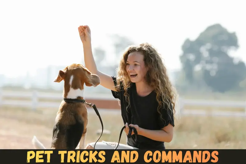 pet tricks and commands
