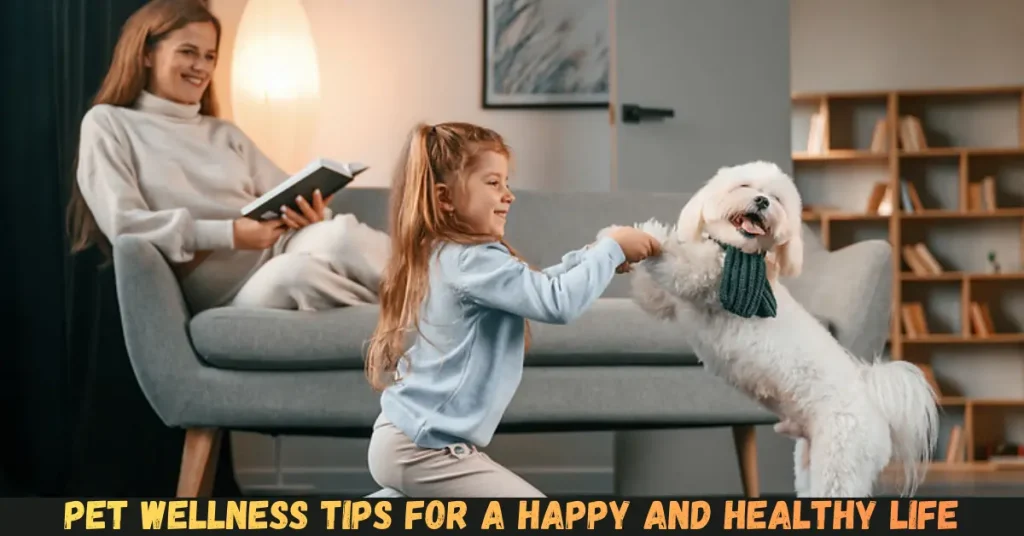 Pet Wellness Tips For a Happy And Healthy Life pet wellness tips for a happy and healthy life