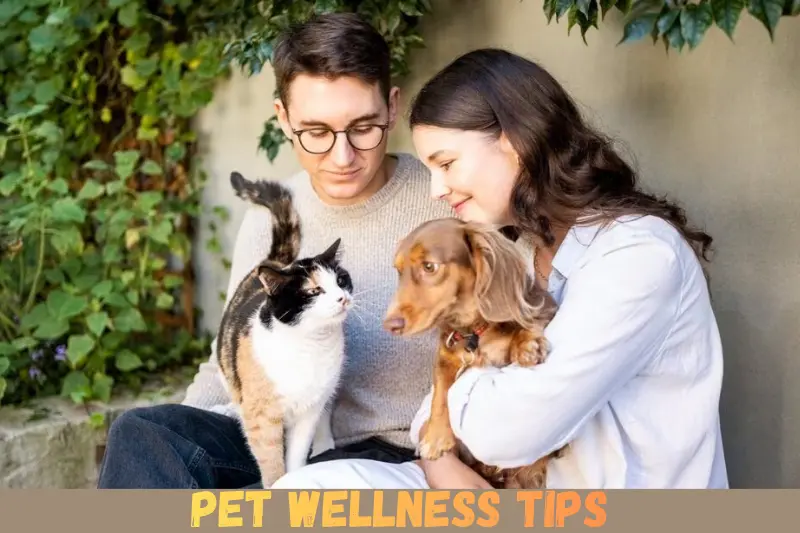 pet wellness tips