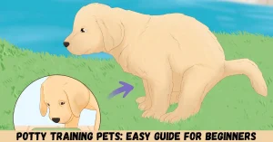 potty training pets easy guide for beginners